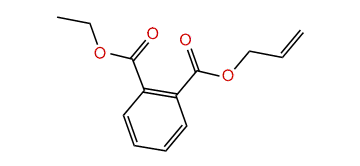 Ethyl allyl phthalate